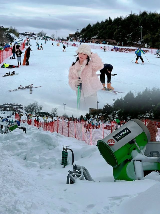 在冰雪中聽風呼嘯而過，來一場雪上的速度與激情……