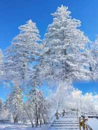 冬日的雪嶺，堪稱國內旅行地天花板~