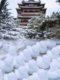 高鐵8小時，只為看一眼下雪的威海有多浪漫！