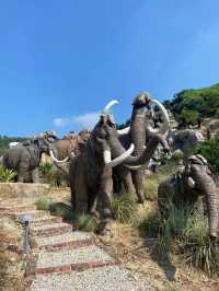 福建石岩植物園復活島的搬到國內了