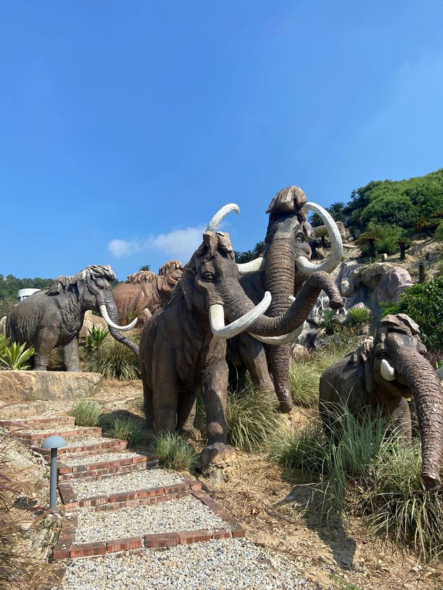福建石岩植物園復活島的搬到國內了