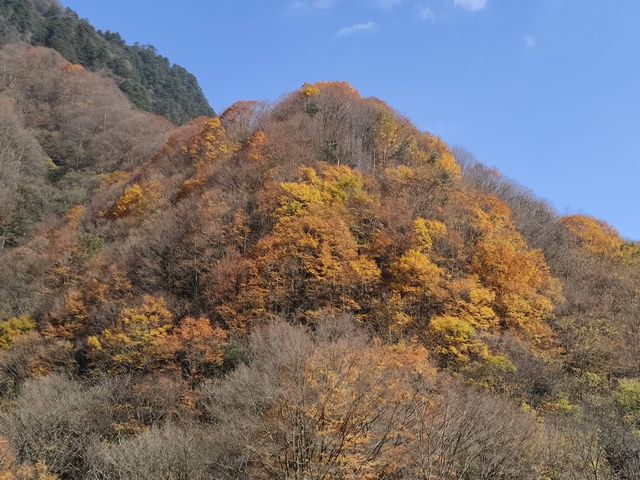 米倉山（下）