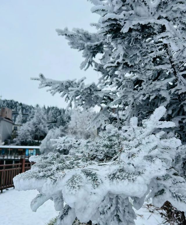 九宮山初雪|武漢周邊不容錯過的霧凇美景