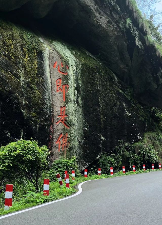 武夷山旅遊攻略！送給要去武夷山旅遊的姐妹