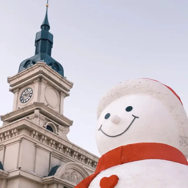 The little potato from the south, bravely exploring Harbin