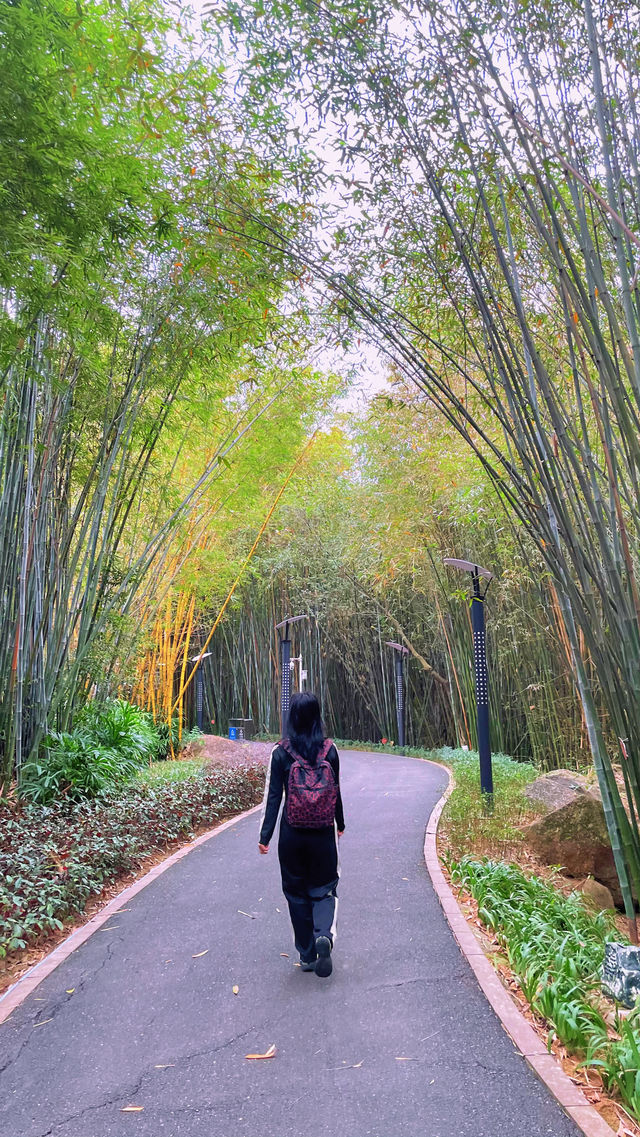 週末戶外新發現黃埔科學城環山公園