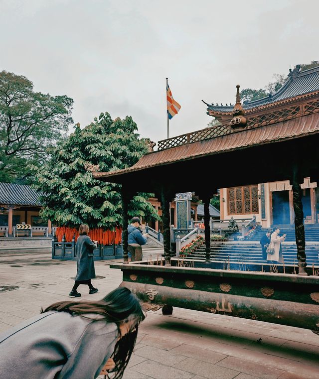 "迎新年好運：探秘柳州鳳山開山寺"