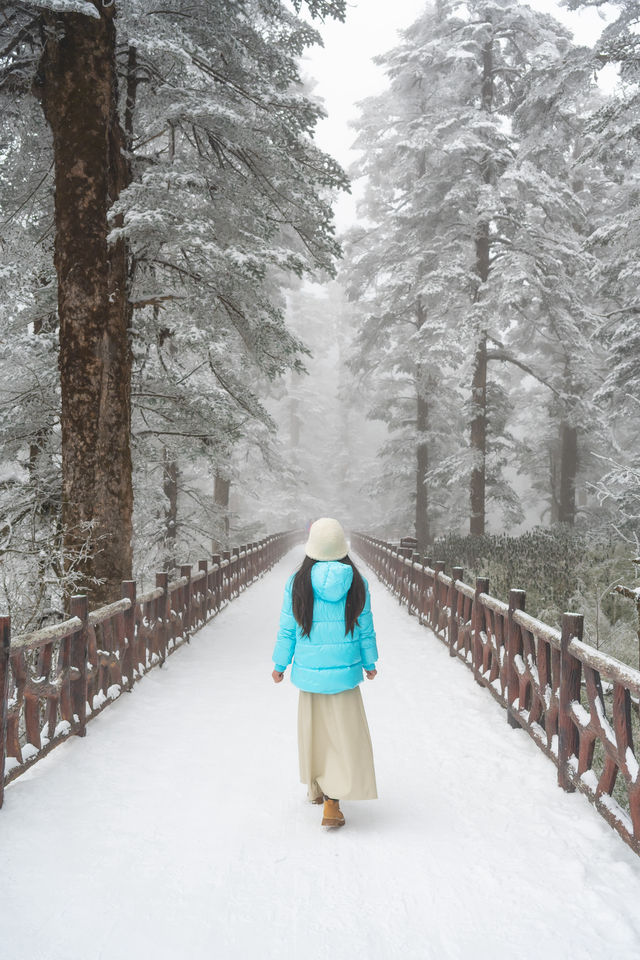 瓦屋山！我願稱之為川內1天往返玩雪天花板！