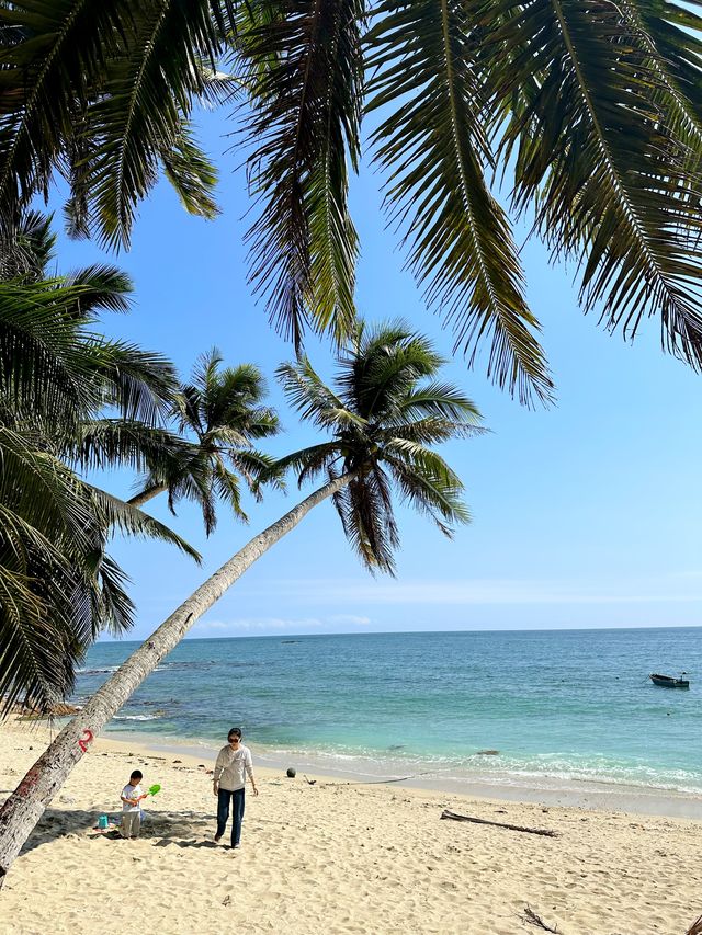 珠涌萬泉流玉河，風吹椰樹舞婆娑
