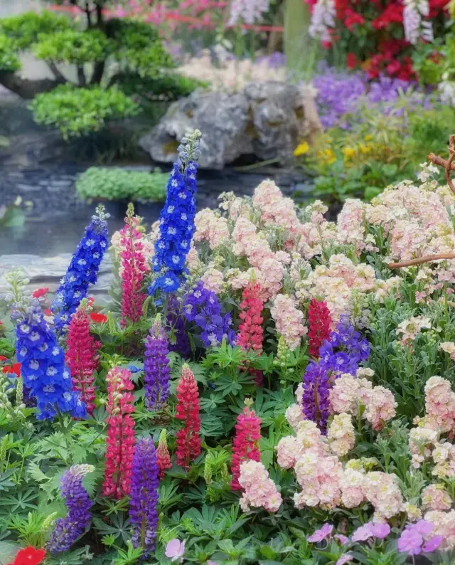 あなたはさすがです！花の都、広州！