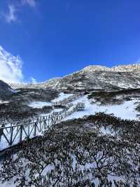 2024年大年初一，我在大理蒼山聽風看雪