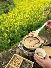 春日浪漫油菜花田，一起來野炊吧！！