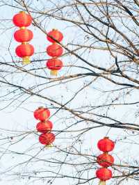 元宵節,來農耕園裡歡度不一樣的團圓時刻