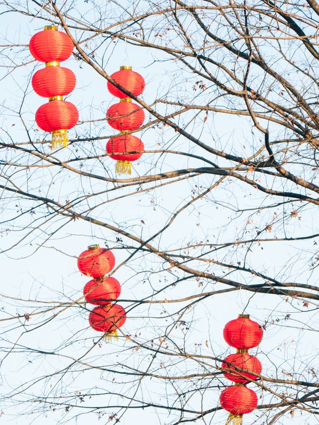 元宵節,來農耕園裡歡度不一樣的團圓時刻 元宵節,來農耕園裡歡度不一樣的團圓時刻