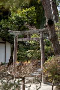京都旅行必打卡！銀閣寺，禪意與美學的完美交融