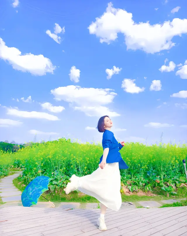 At 48, she never stops walking | Put on a white dress to take photos in the rapeseed flower sea