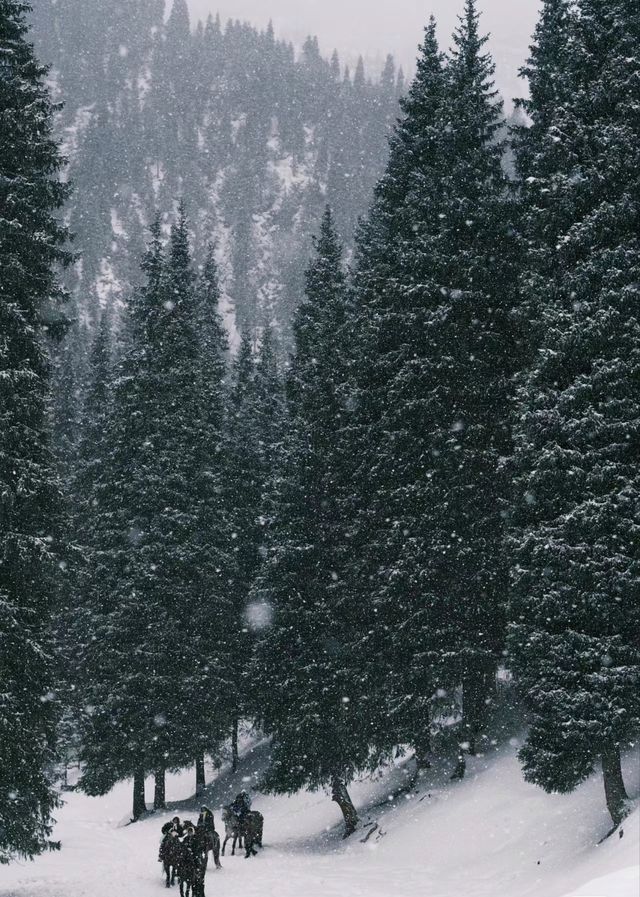 不要再去新疆的禾木了，大家都來烏魯木齊的沙溝騎馬吧