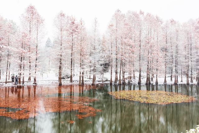 你見過冬季的燕雀湖嗎？