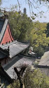 若寺成立，則國泰民安～遊覽天台國清寺所感