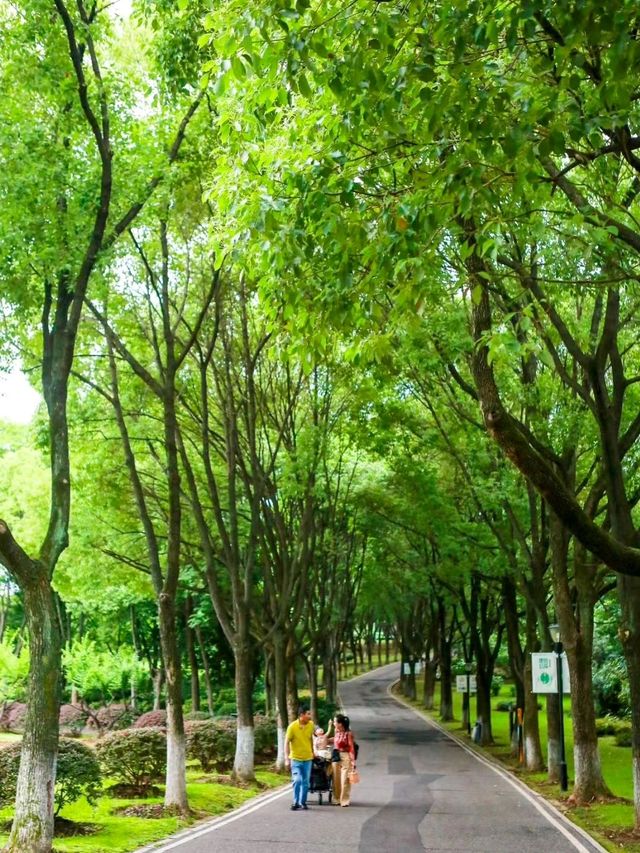 武漢這個免費公園居然開滿了鬱金香附攻略