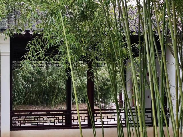 北京紫竹院公園