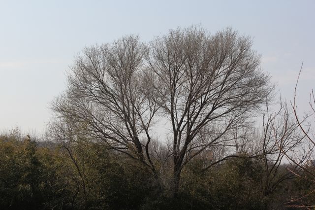 山與水的高度契合——安丘青雲山民俗遊樂園