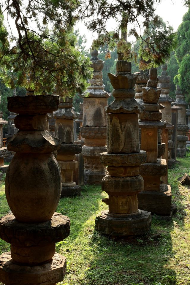 唐宋元明清，石塔博物館|靈巖寺墓塔林（965）