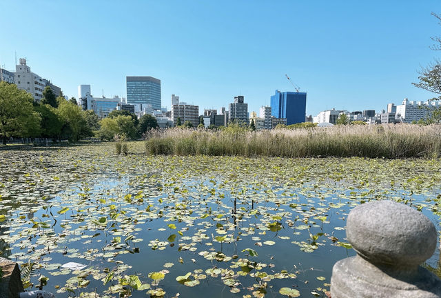 在上野公園的不忍池弁天堂散步，陽光有點曬