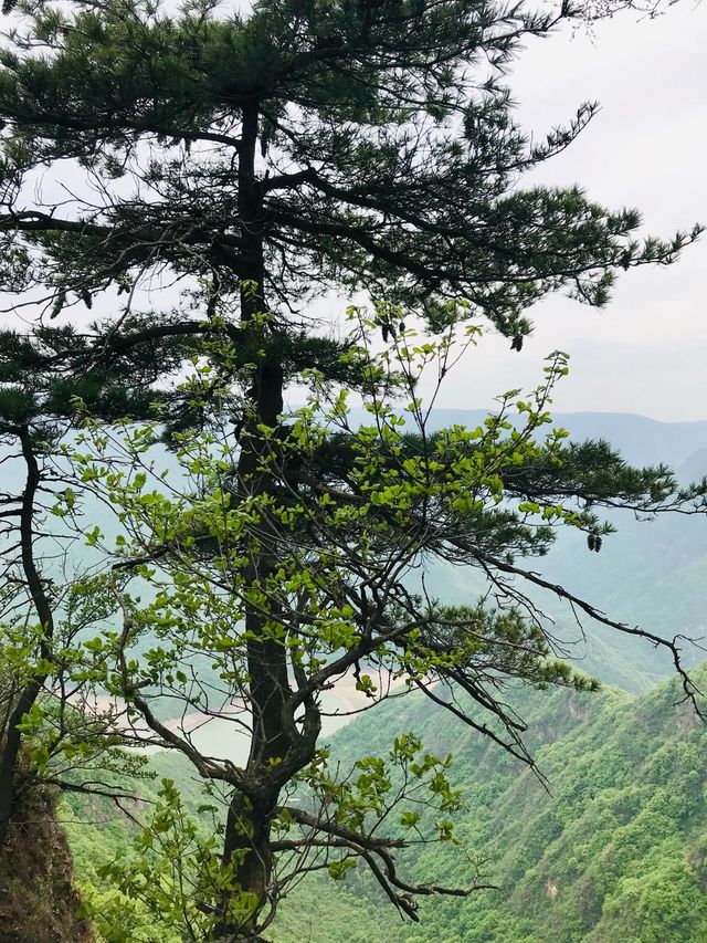 道教第一仙山～崆峒山