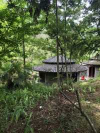 華中屋脊——神龍架