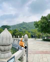 順峰山公園美景