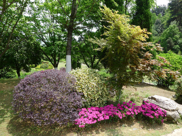 鮮花山谷——登高雲山·雲谷花境