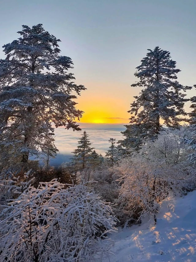 誰不愛西嶺雪山！