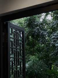 心平能愈萬千疾|深圳藏在鬧市中的小眾寺廟