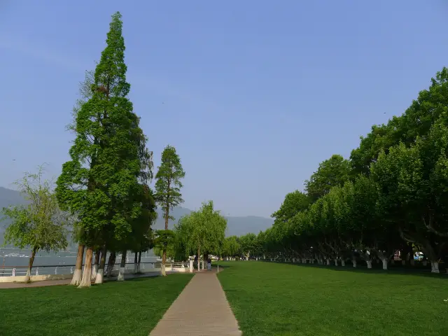 滇池畔的綠色——昆明海埂公園