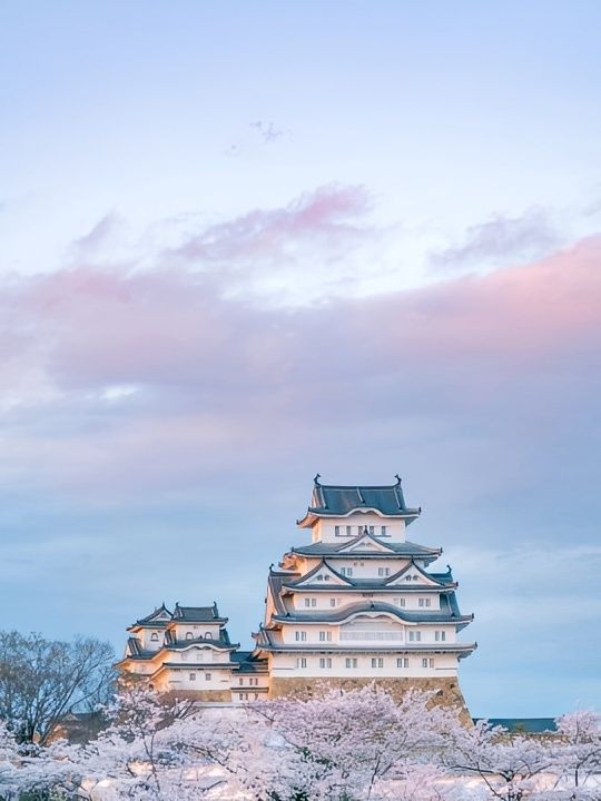 Blossoms at Himeji Castle Osaka🌸❤️🇯🇵