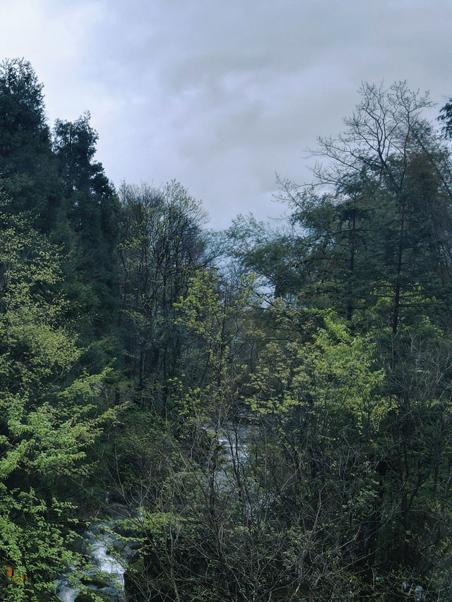 長沙出發2小時，去見山見水見自己