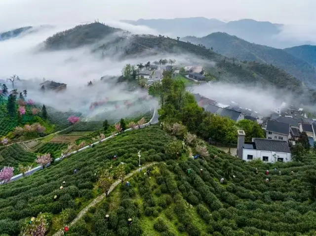Hua Zhu She·Hangzhou | Come to Anding Mountain, a secluded spot for tea tasting and enjoying the scenery
