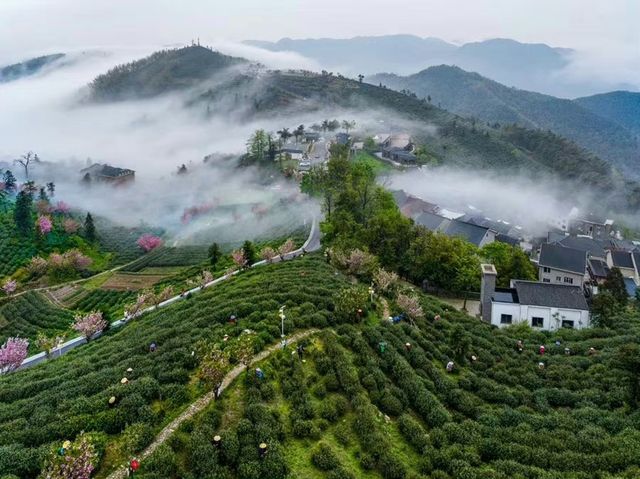 花筑奢·杭州｜來安頂山，邂逅品茶賞景的隱秘之地