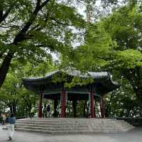 I fell in love and it’s forever! Find your soul in Seoul! 