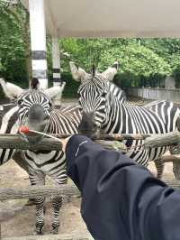 野生動物園裡有什麼