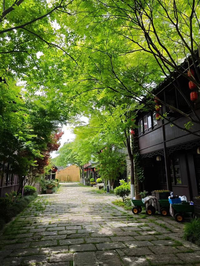 東台天仙緣—西溪景區