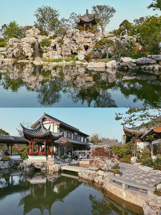 夜遊申園，夏日納涼的出行選擇