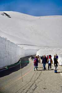 每年只限定兩個月的20米高大雪牆太震撼了
