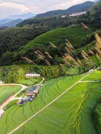 自然田園·上堡梯田