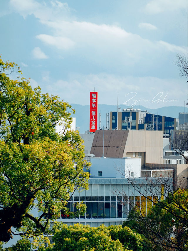 【熊本春天好去處】城市漫步品味文學氛圍自在郊遊必備之地