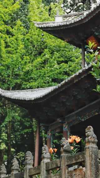 大理巍山|半城煙火半浮生，天官賜福，百無禁忌尋夢南詔～