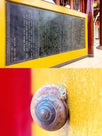 武漢小眾寶藏地探秘——龍華寺