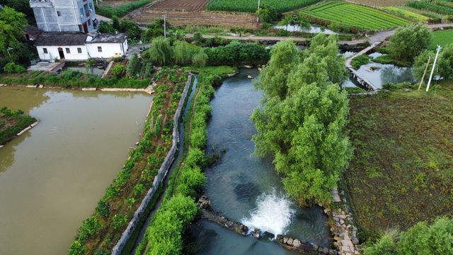 山清水秀客棧