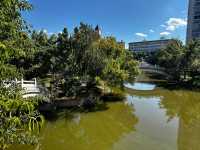 楚雄龍江公園，被睡蓮環繞的休閒好去處